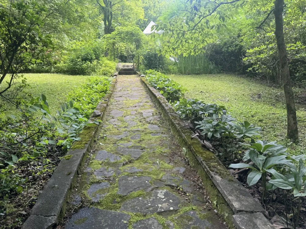 Affordable yard cleanup service for beautiful yards across Hendersonville, NC - M&M’s Mowing Service’s