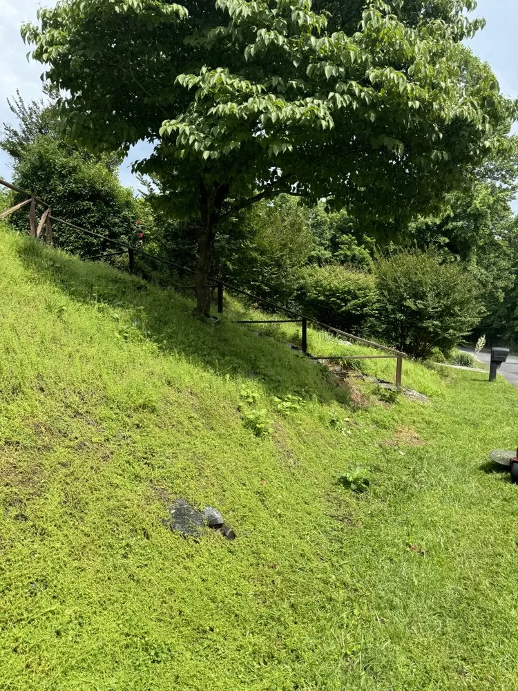 Expert landscape installation in Hendersonville, NC - M&M’s Mowing Service’s