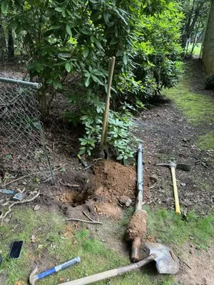 M&M’s Mowing Service’s Logo