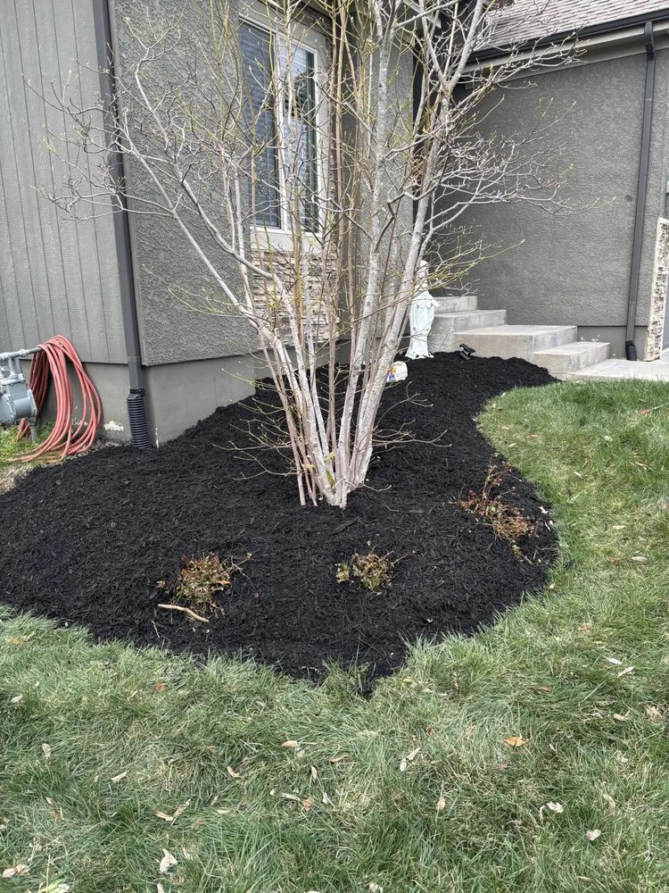 Local outdoor landscaping for homes in Gardner, KS by MN & J Outdoor Services
