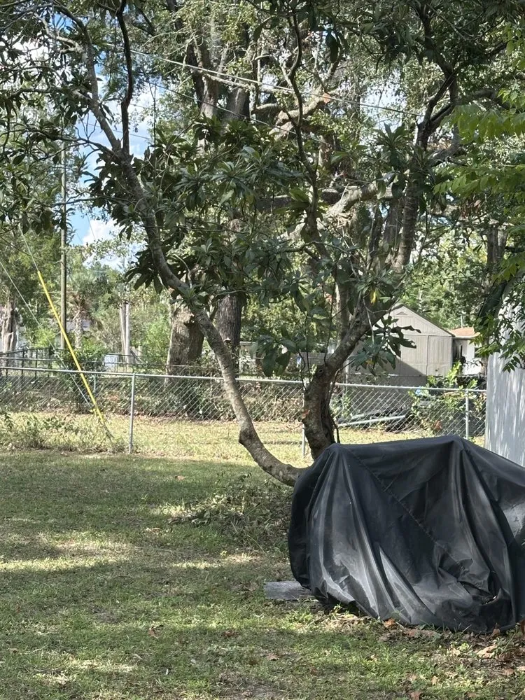 Top-rated lawn care service in Lake City, FL - M&N Bobcat Services