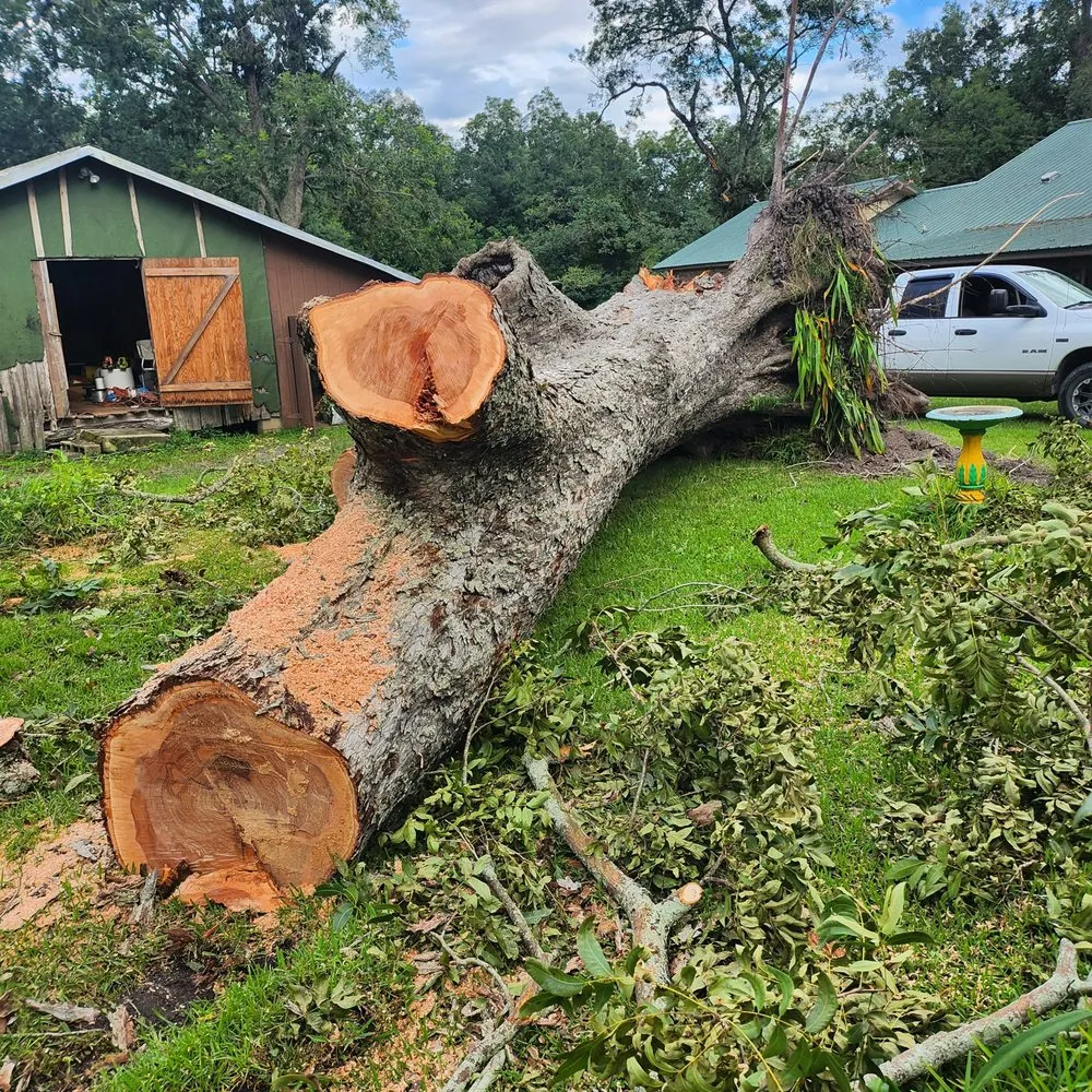 Top-rated garden landscaping for residential properties in Lake City, FL by M&N Bobcat Services