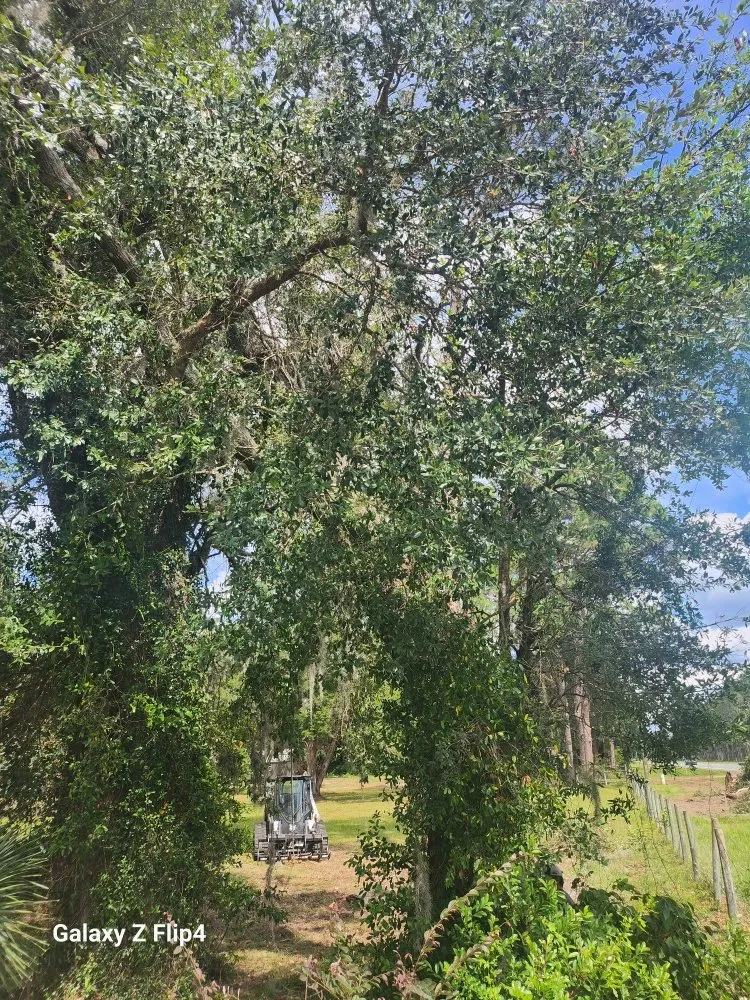 Top-rated lawn care service in Lake City, FL - M&N Bobcat Services