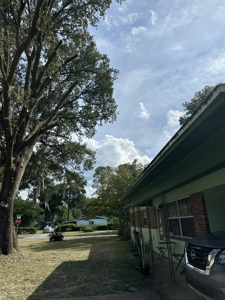 Local landscaping services in Lake City, FL by M&N Bobcat Services