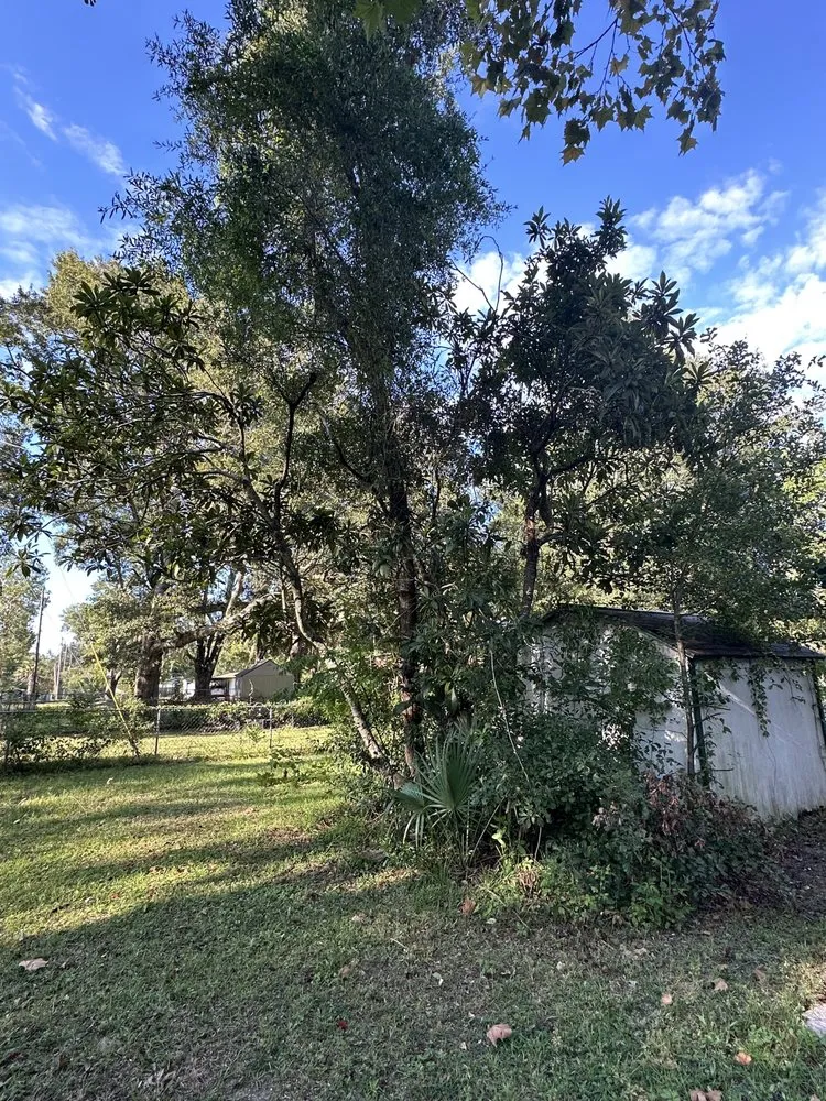 Professional outdoor landscaping in Lake City, FL - M&N Bobcat Services