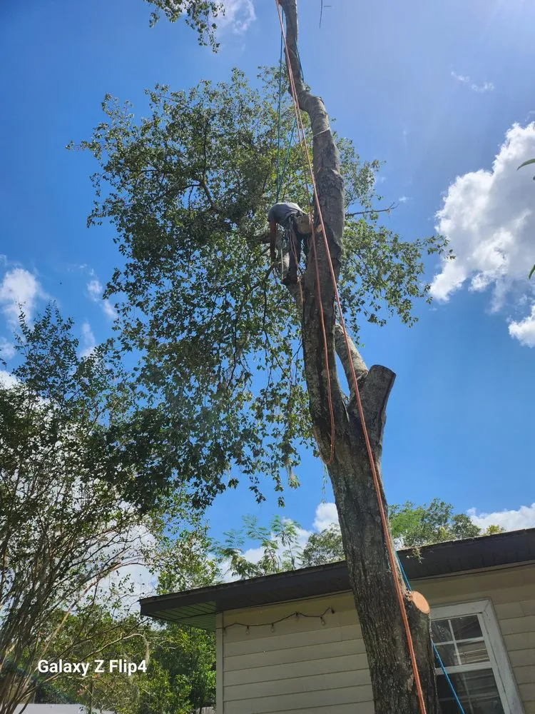 Local outdoor landscaping experts serving Lake City, FL - M&N Bobcat Services