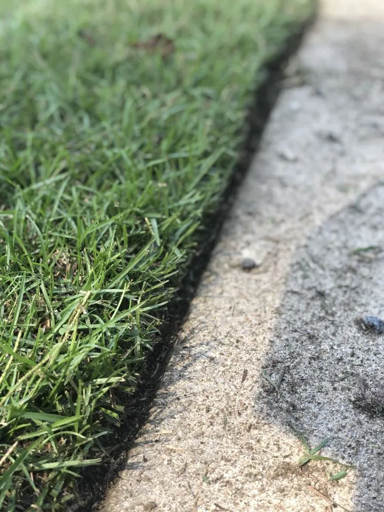 Custom residential landscaping for residential properties across Timmonsville, SC - M&N Exterior Jobs