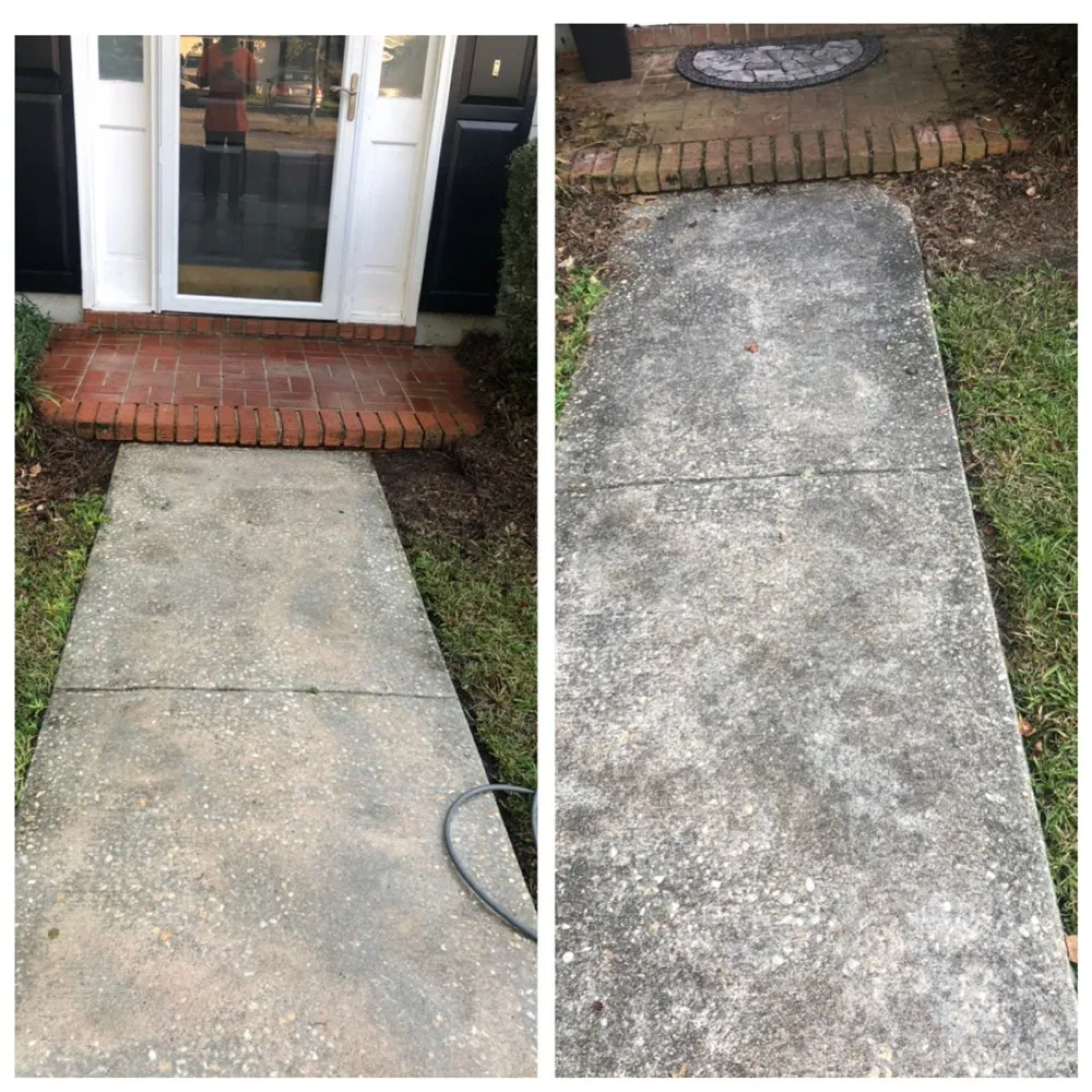 Professional yard cleanup service for beautiful yards in Timmonsville, SC by M&N Exterior Jobs