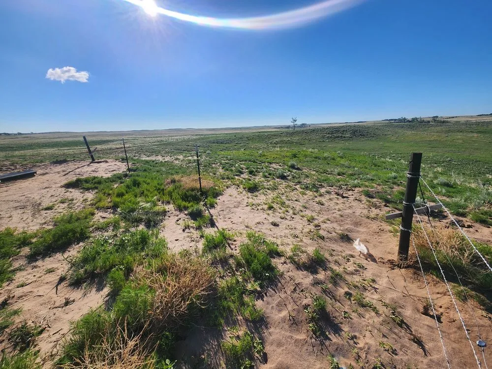 Top-rated yard cleanup service experts serving Crook, CO - M&N Fencing