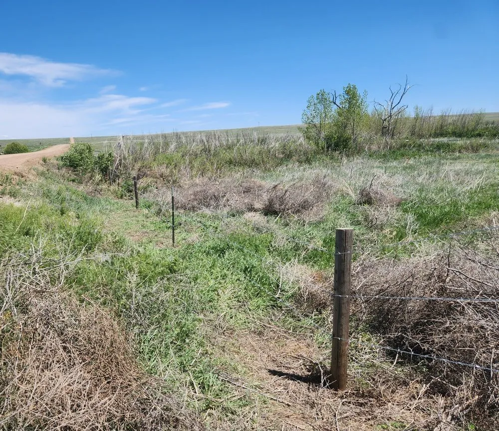 Affordable lawn care service for residential properties across Crook, CO - M&N Fencing