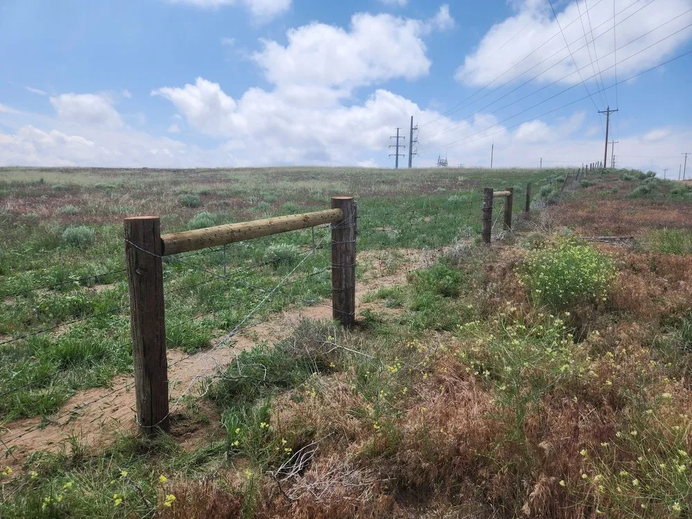 Custom lawn mowing service for homes in Crook, CO by M&N Fencing