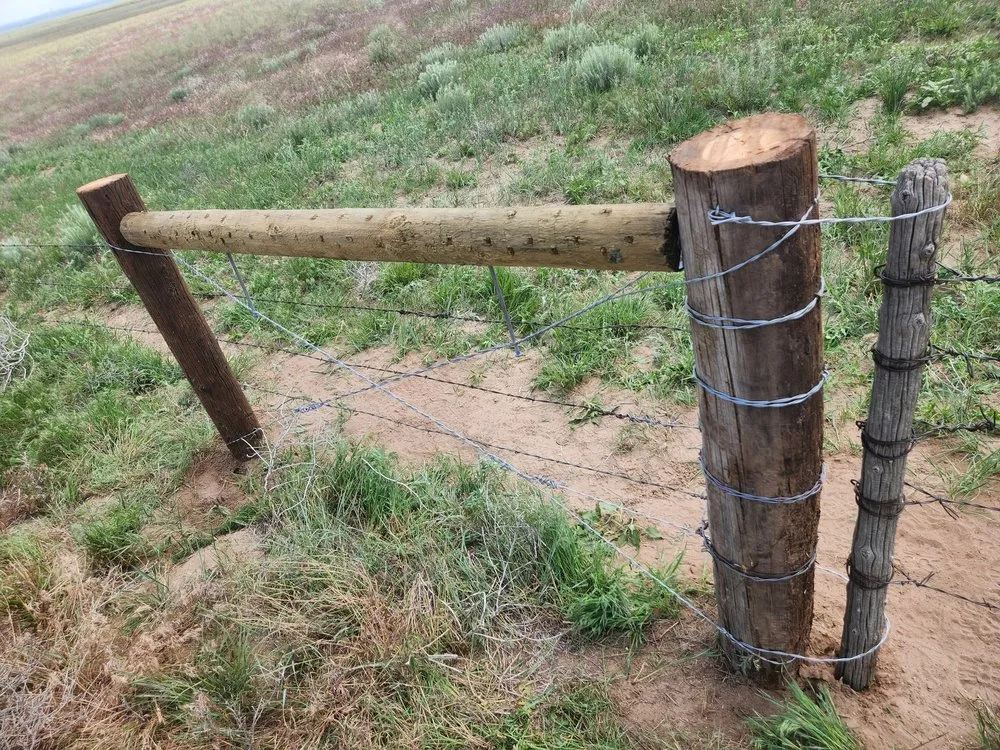 Affordable yard cleanup service for outdoor upgrades across Crook, CO - M&N Fencing