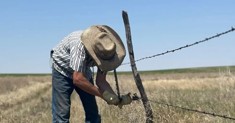 Expert garden landscaping for year-round maintenance in Crook, CO by M&N Fencing