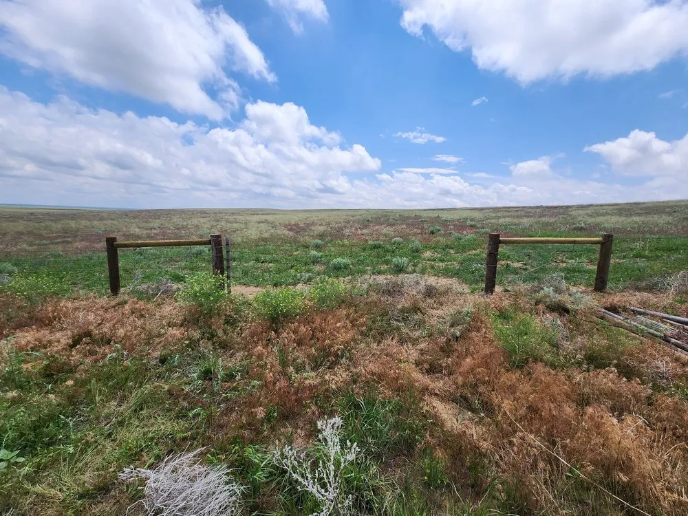 Custom lawn care service experts serving Crook, CO - M&N Fencing