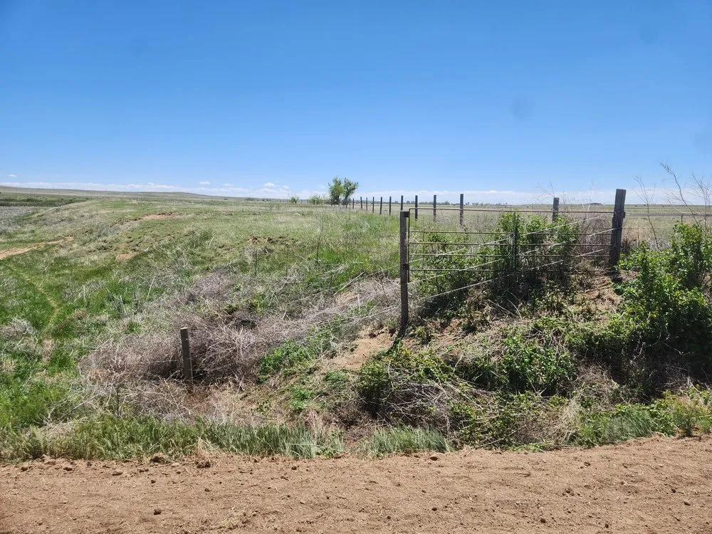Top-rated landscape design experts serving Crook, CO - M&N Fencing