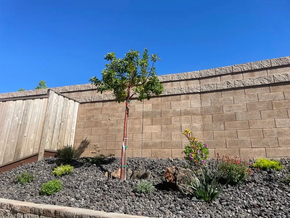 Top-rated outdoor landscaping experts serving Oakley, CA - MN. LANDSCAPE & CONSTRUCTION