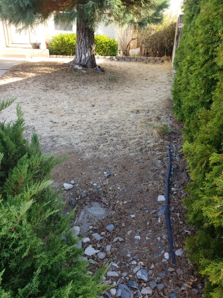 Expert landscape design for beautiful yards in Spanish Springs, NV by M&N LANDSCAPE AND MAINTENANCE