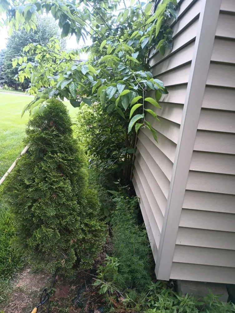 Top-rated garden landscaping experts serving Grandview, MO - M&N Landscaping & Tree Service