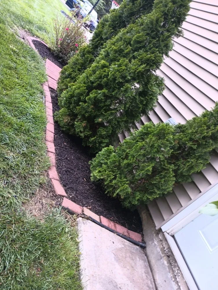 Reliable lawn mowing service for beautiful yards across Grandview, MO - M&N Landscaping & Tree Service