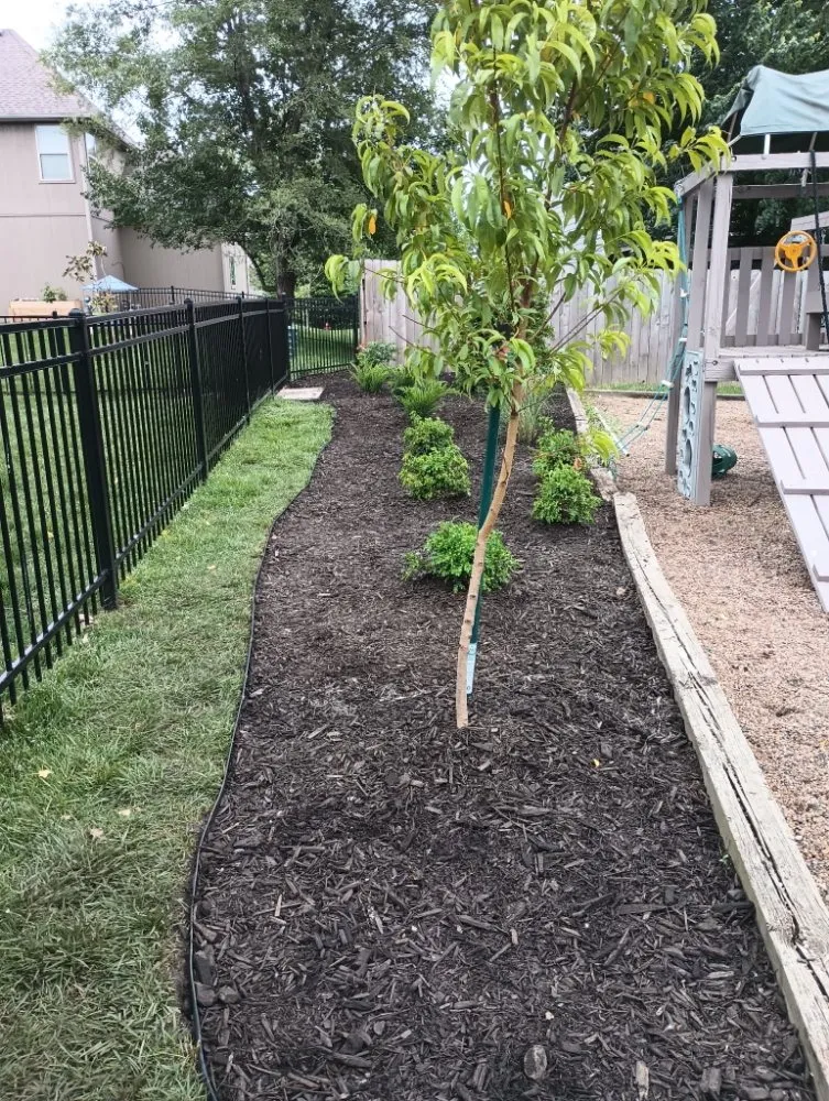 Top-rated landscaping services experts serving Grandview, MO - M&N Landscaping & Tree Service