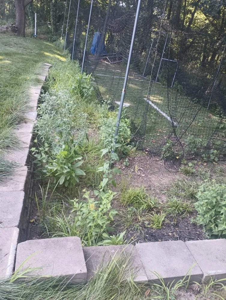 Professional lawn mowing service for outdoor upgrades in Grandview, MO by M&N Landscaping & Tree Service