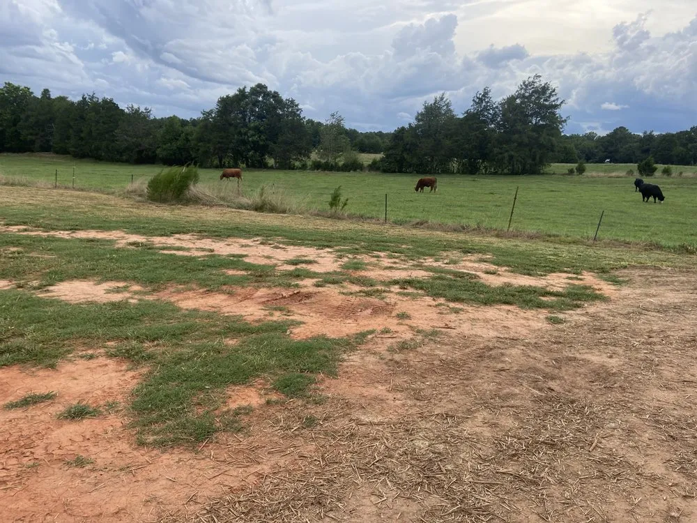 Reliable residential landscaping experts serving Iva, SC - M&N Landscaping