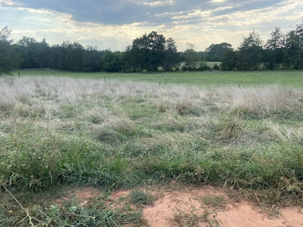 Custom garden landscaping in Iva, SC - M&N Landscaping