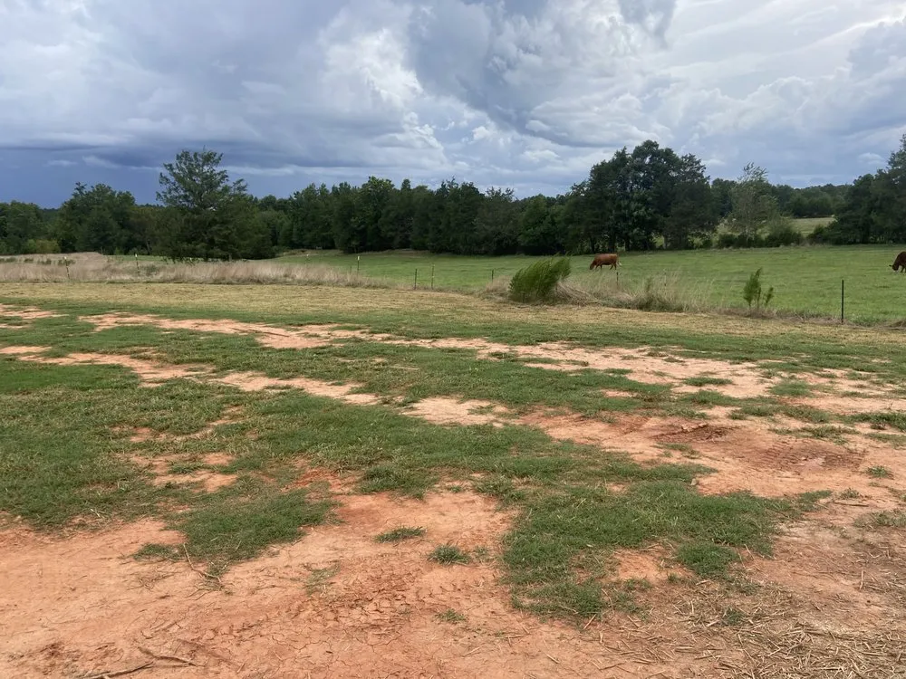 Professional outdoor landscaping near you across Iva, SC - M&N Landscaping