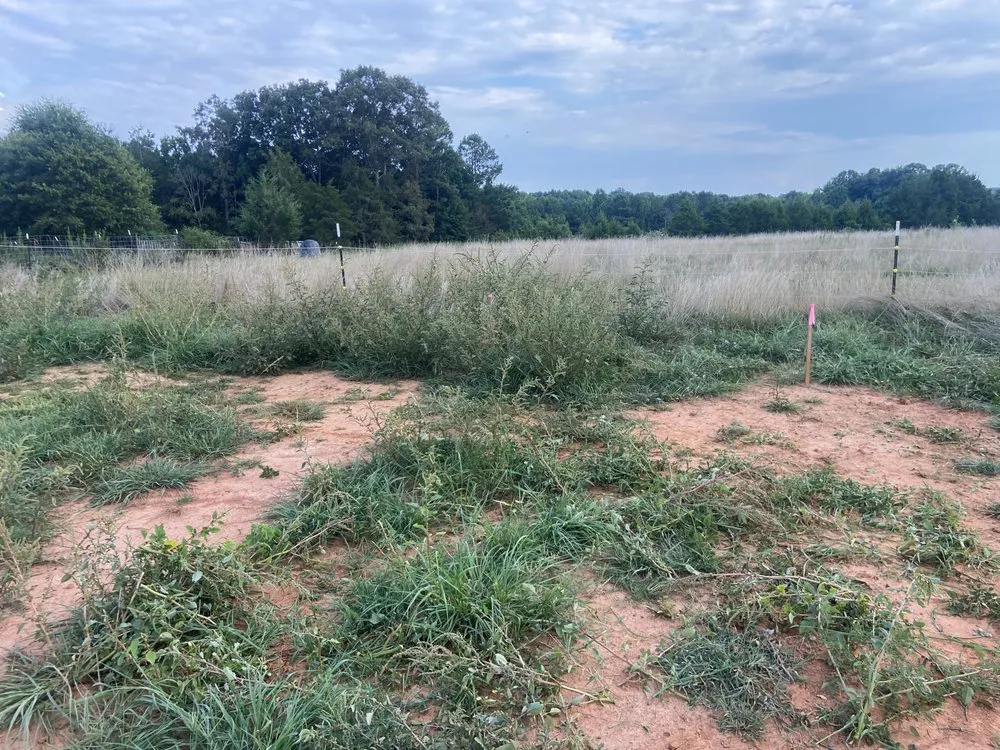 Reliable landscape installation experts serving Iva, SC - M&N Landscaping