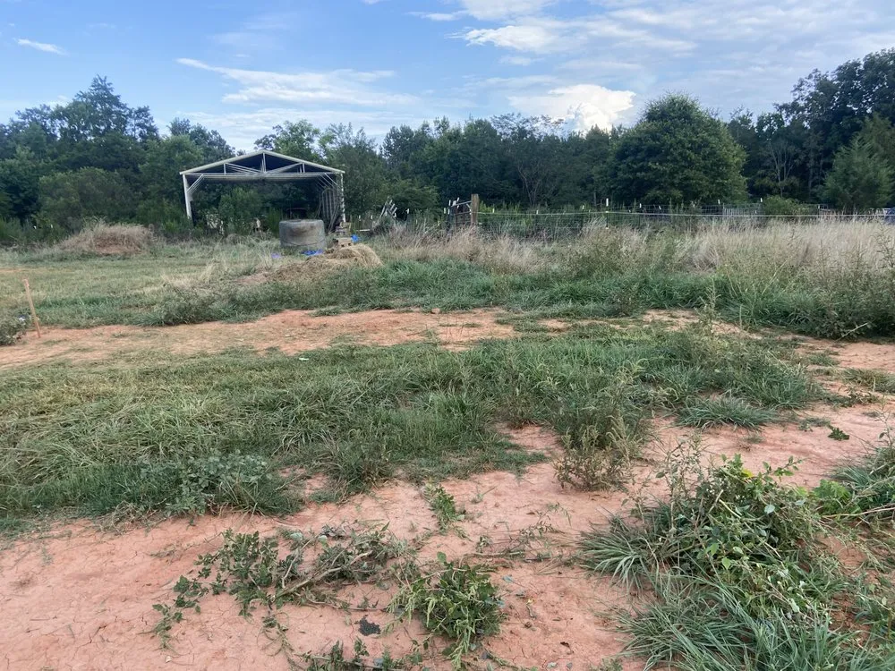 Expert yard cleanup service for year-round maintenance across Iva, SC - M&N Landscaping