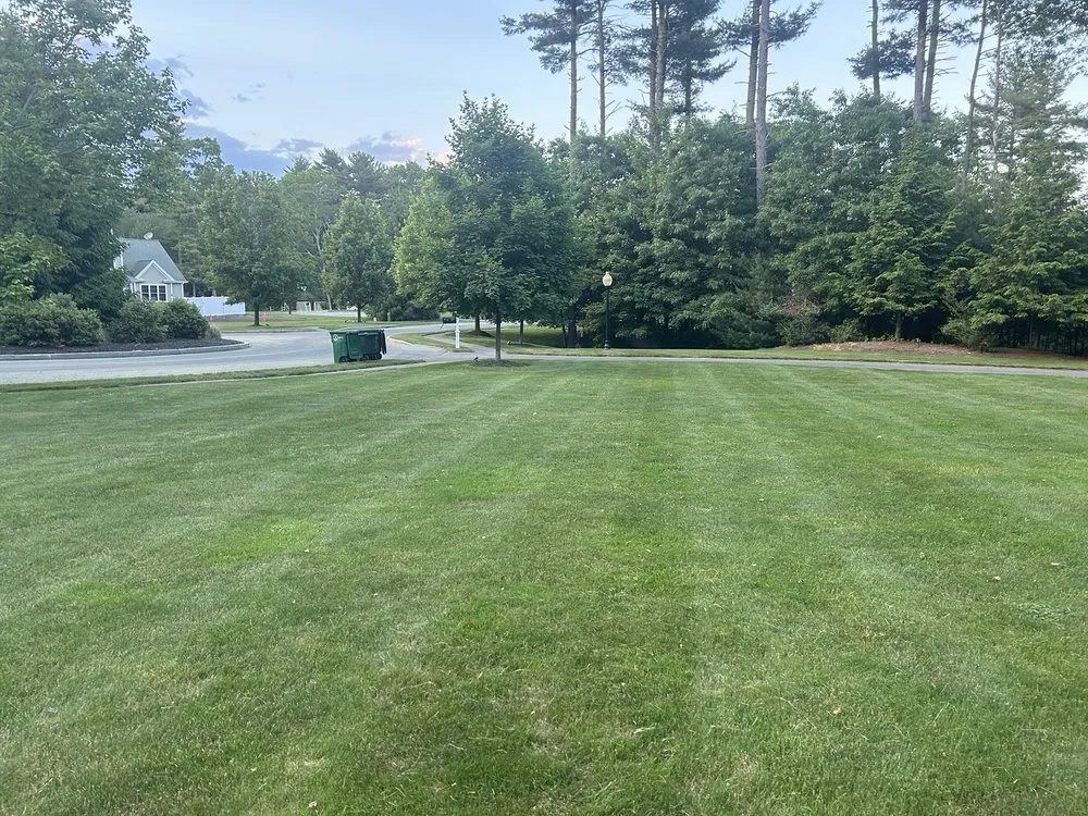 Local landscaping services near you in Pembroke, MA by M&N Landscaping
