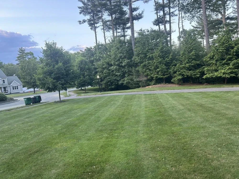 Expert residential landscaping experts serving Pembroke, MA - M&N Landscaping