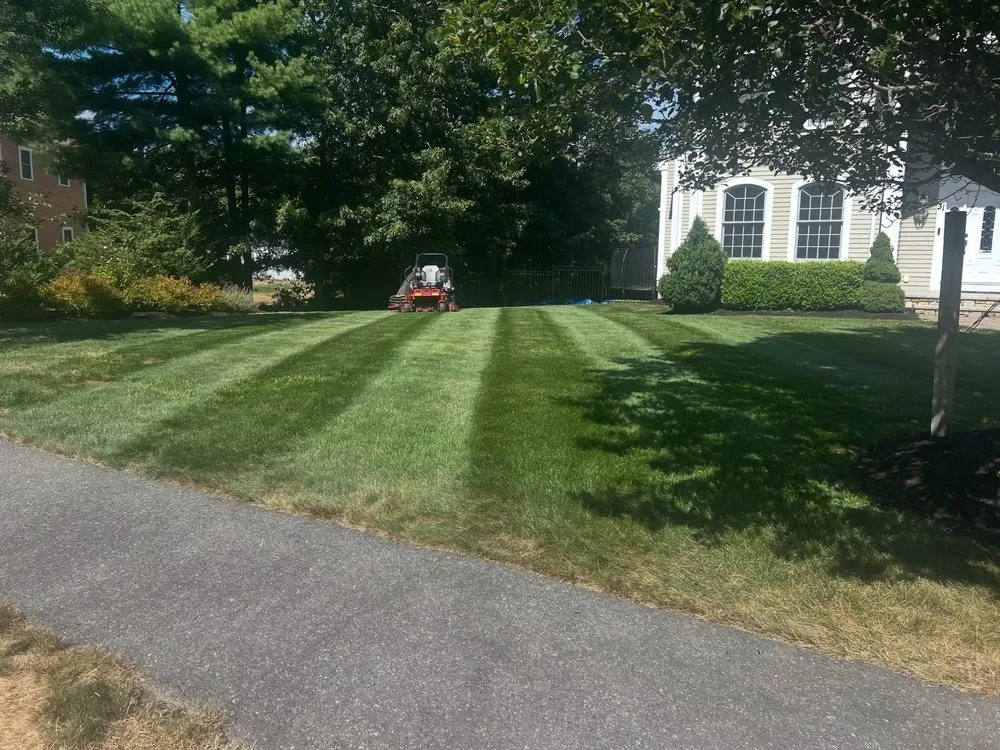 Affordable outdoor landscaping in Pembroke, MA by M&N Landscaping