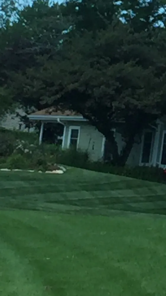 Affordable landscaping services for homes in Plainfield, IL by M&N Landscaping