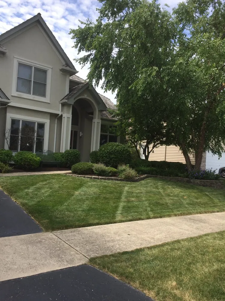 Reliable yard cleanup service with custom design across Plainfield, IL - M&N Landscaping