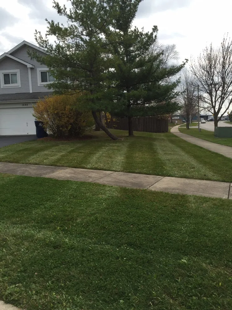 Expert landscaping services experts serving Plainfield, IL - M&N Landscaping