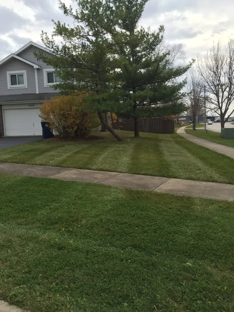 Top-rated garden landscaping for outdoor upgrades across Plainfield, IL - M&N Landscaping