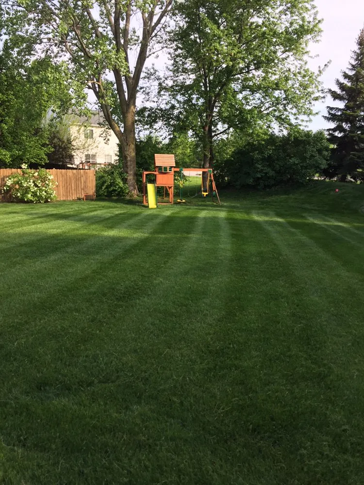 Top-rated landscaping services for homes in Plainfield, IL by M&N Landscaping
