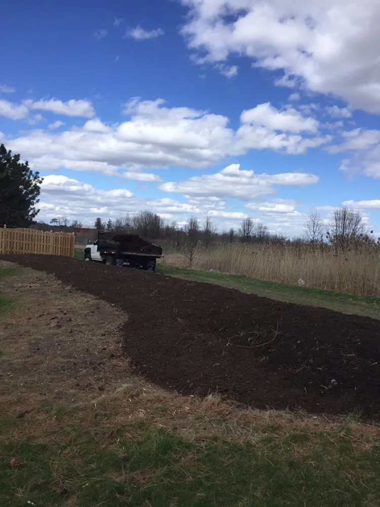 Local yard cleanup service for year-round maintenance in Plainfield, IL by M&N Landscaping