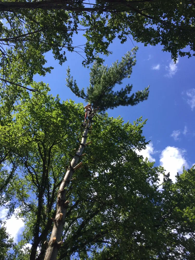 Professional lawn mowing service in Plainfield, IL by M&N Landscaping