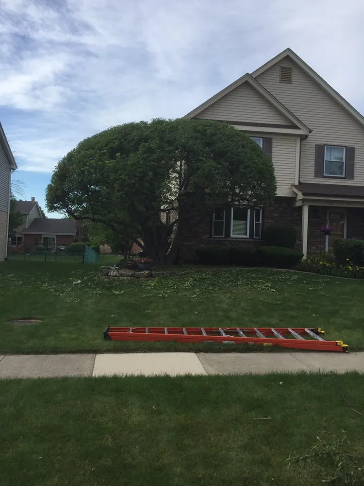 Affordable garden landscaping with custom design across Plainfield, IL - M&N Landscaping