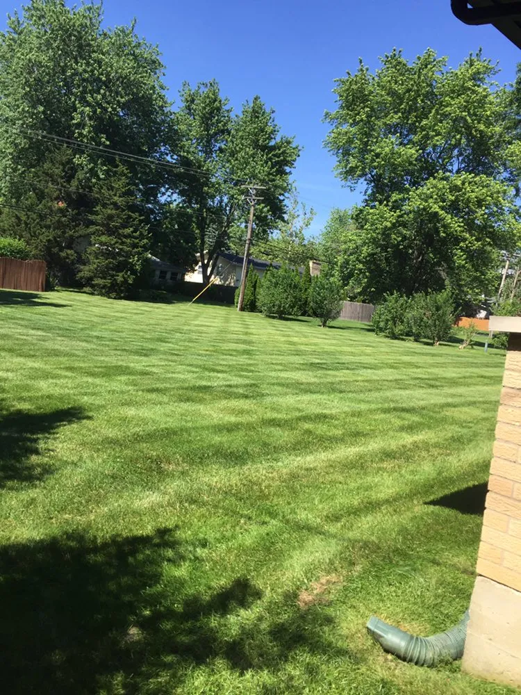 Top-rated residential landscaping experts serving Plainfield, IL - M&N Landscaping