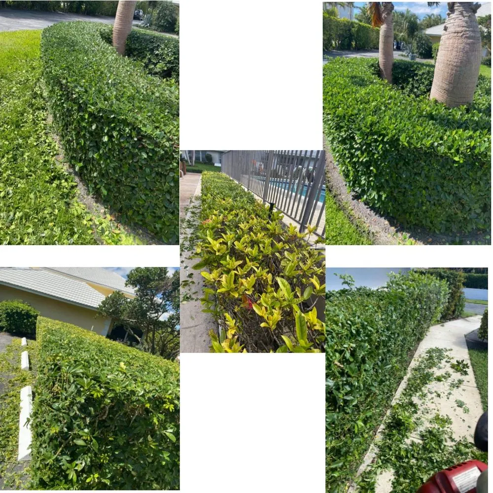Reliable garden landscaping for outdoor upgrades across Greenacres, FL - M&N Landscaping Services