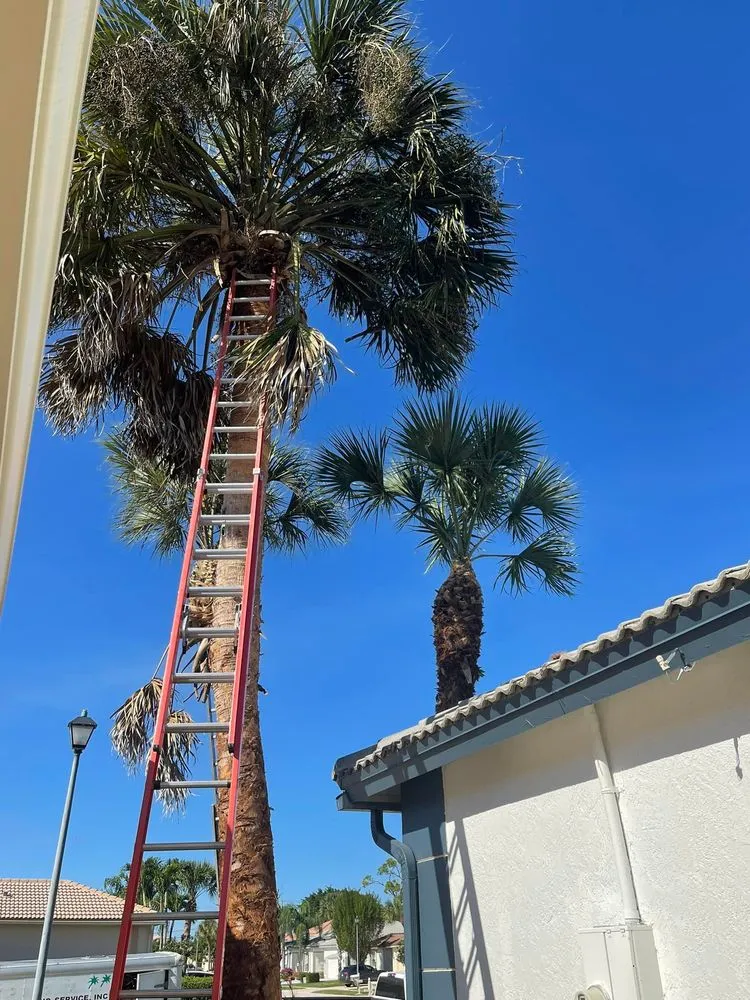 Local yard maintenance in Greenacres, FL - M&N Landscaping Services