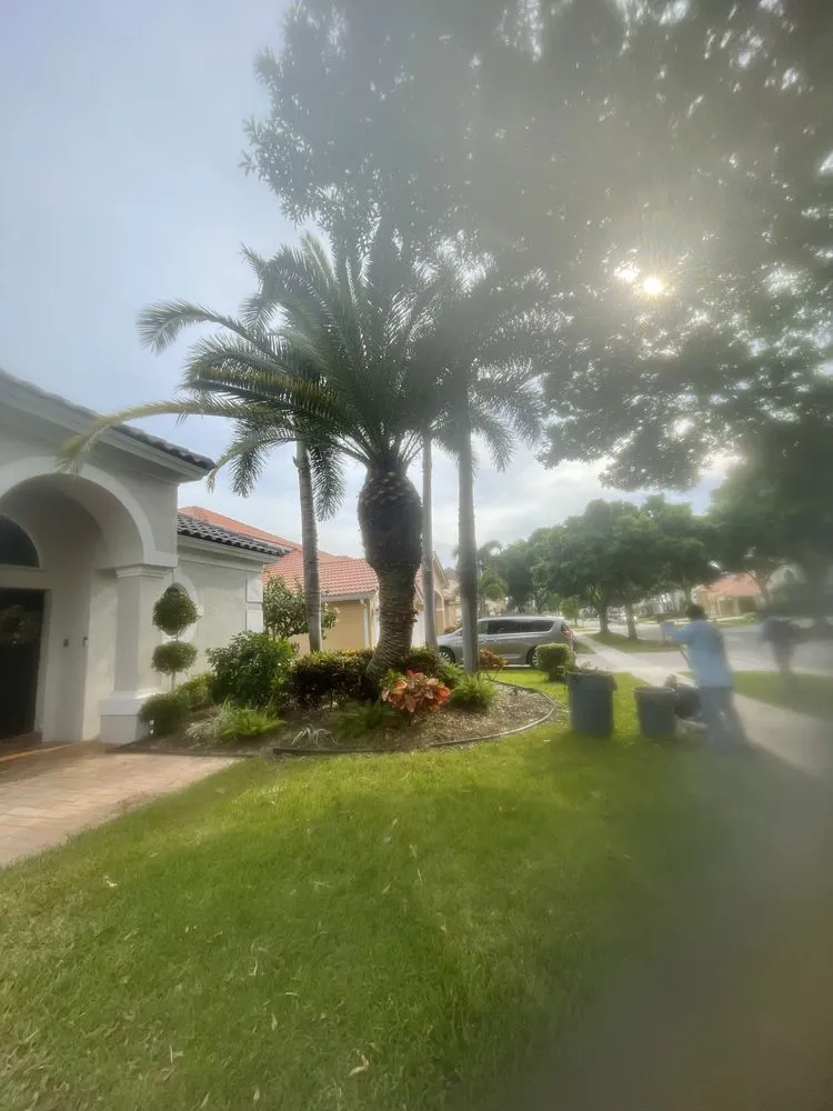 Custom garden landscaping experts serving Greenacres, FL - M&N Landscaping Services