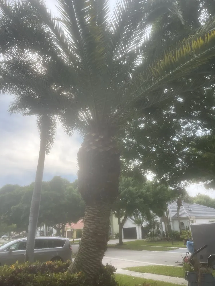 Professional lawn care service for outdoor upgrades across Greenacres, FL - M&N Landscaping Services