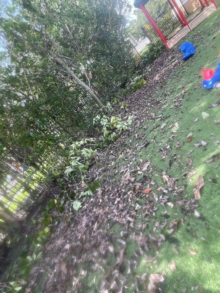 Reliable outdoor landscaping in Greenacres, FL by M&N Landscaping Services