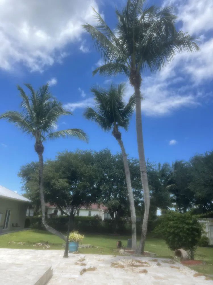 Trusted yard maintenance for residential properties across Greenacres, FL - M&N Landscaping Services