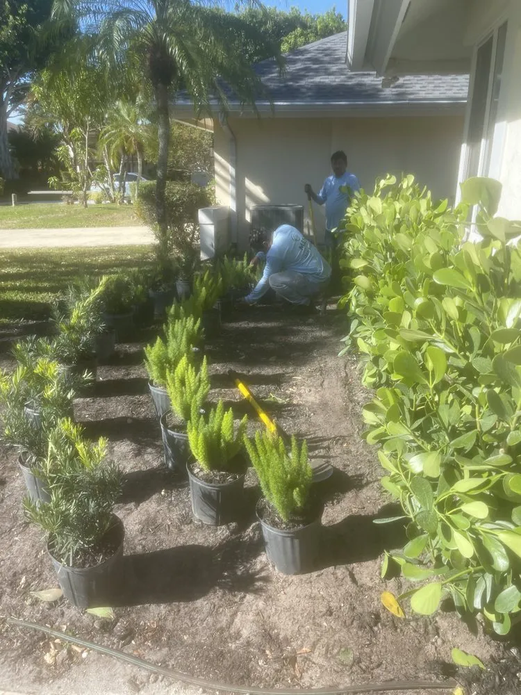 Top-rated outdoor landscaping with custom design in Greenacres, FL by M&N Landscaping Services