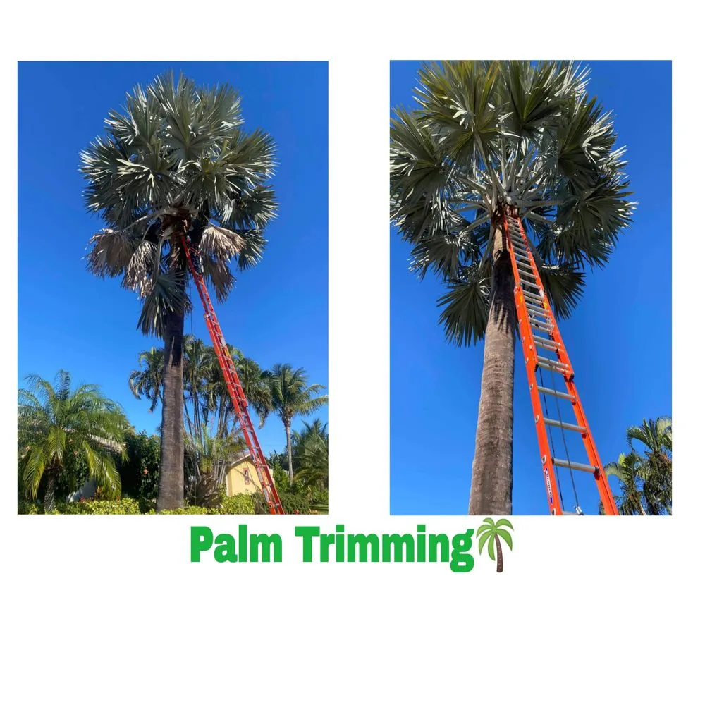 Professional landscape design experts serving Greenacres, FL - M&N Landscaping Services